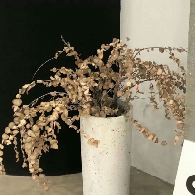 兽设场景透视教程福瑞交流群